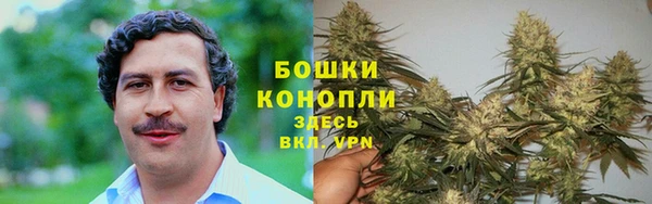 дмт Заволжье