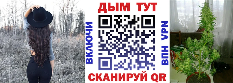 Каннабис THC 21%  Купить где  Высоцк 